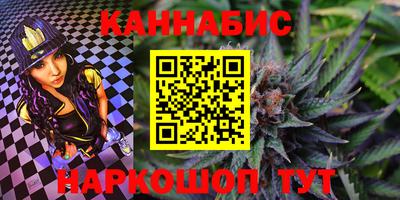 индика Усть-Джегута