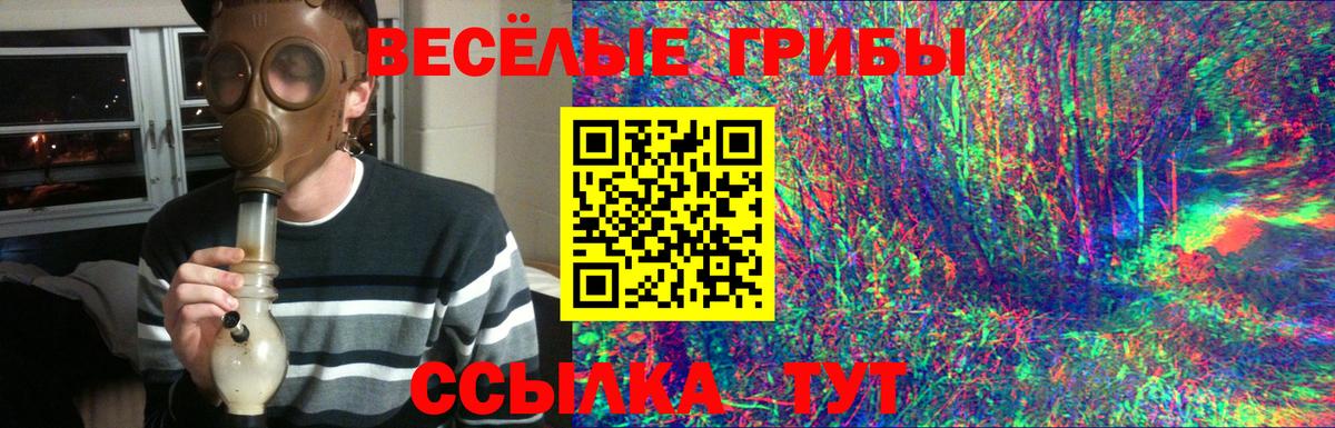 Галлюциногенные грибы мухоморы Архангельск